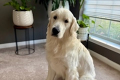image0